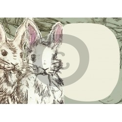 Einladungskarte Kaninchen