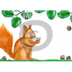 Einladungskarte Eichhörnchen (ab 4 Stck.)